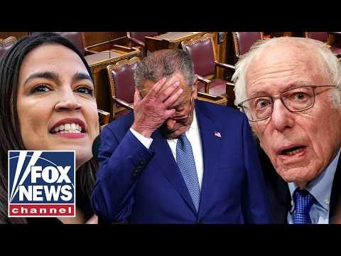 ‘OUR PARTY IS DIVIDED’: Ex-Clinton advisor says Democrats need a MAJOR ‘reset’