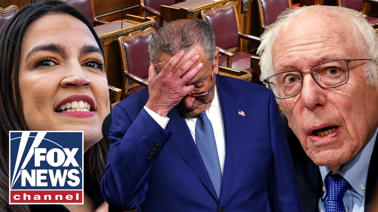 ‘OUR PARTY IS DIVIDED’: Ex-Clinton advisor says Democrats need a MAJOR ‘reset’
