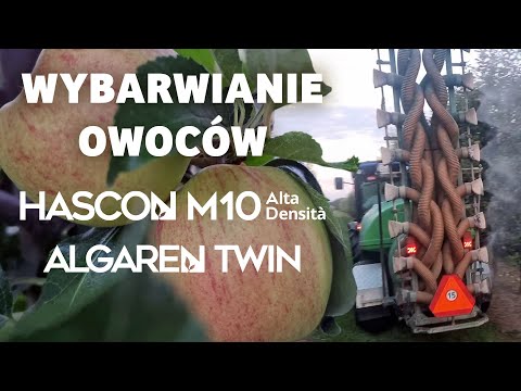 Wybarwianie owoców przed zbiorem i ograniczanie opadania owoców przed zbiorem - Darek Ziarko