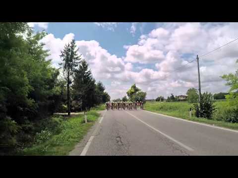 2015 - 08 - 02 - ciclismo - Pasiano - Madonna del Monte