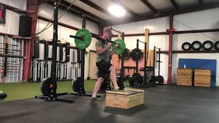 Safety Squat Bar Step Up