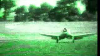 pen pen-in her shadow