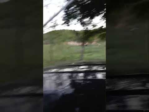 SE VENDEN LOTES DE TERRENO EN EL PEDREGOSO DE PESÉ - HERRERA. LOS METROS CUADRADOS QUE NECESITES