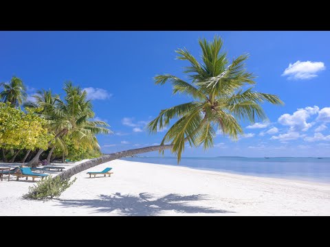 PAUL DE SENNEVILLE | RICHARD CLAYDERMAN - spring waltz beautiful relaxing piano music