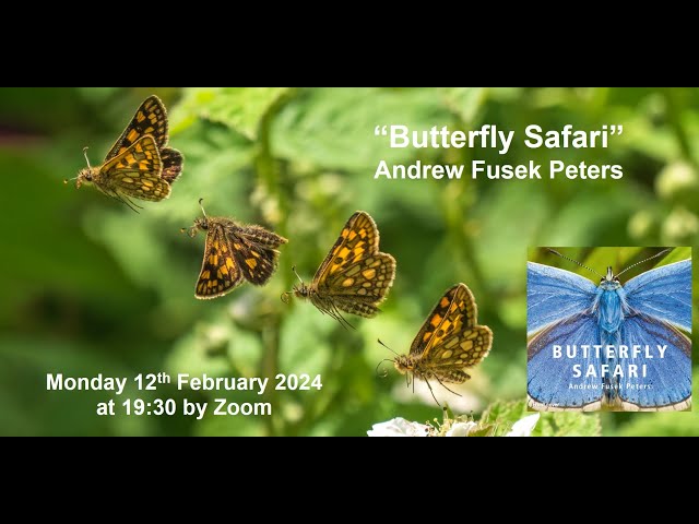 Vídeo relacionado con Butterfly Safari (English Edition)