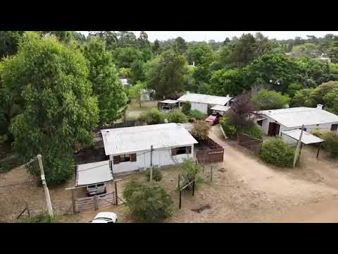 11 de noviembre de 2024