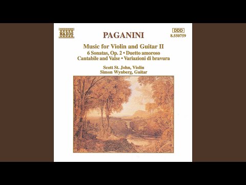 Sonata for Violin and Guitar in A Minor, Op. 2, No. 6, MS 26: Tempo di Walzer