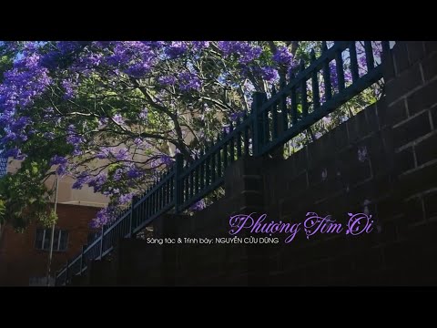 Phượng tím ơi - Nguyễn Cửu Dũng