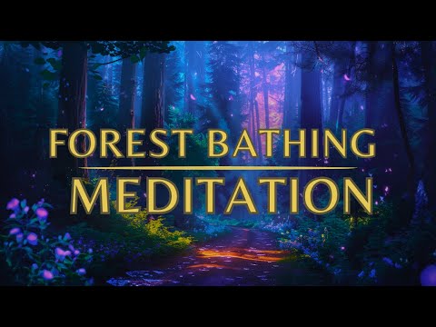 Guided Meditation for Sleep - The Forest Bathing Meditation - SLEEP Meditation