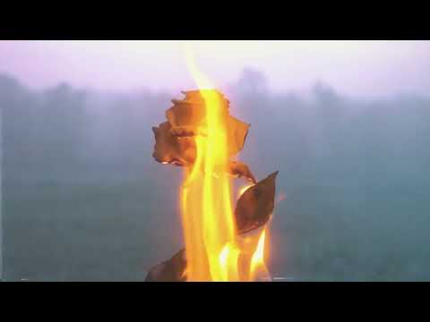 Caleb Hearn - Where Do We Go from Here? (Official Visualizer)