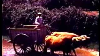 preview picture of video '1974 Cabañas de Tera - un pueblo de Zamora'