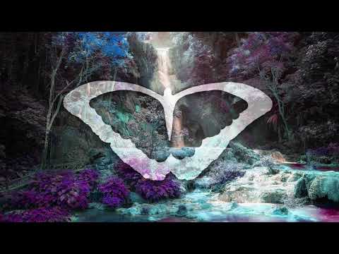 Thumbnail for Lucid video