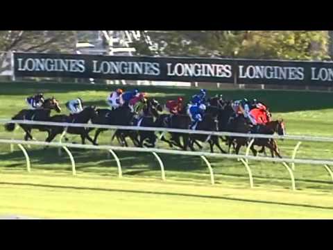 Group 1 Epsom Handicap - Winx