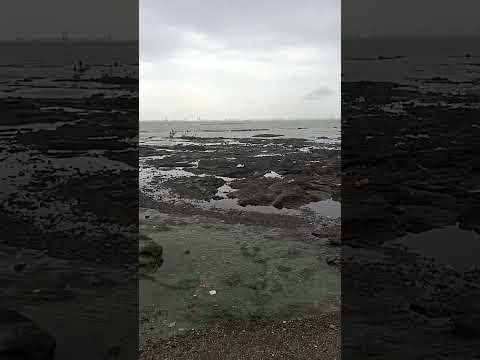 uran darga ❤️#youtubeshorts #shorts