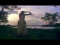 Karutha Machan Pudhu Nellu Padhu Naathu HD Rahul Sukanya