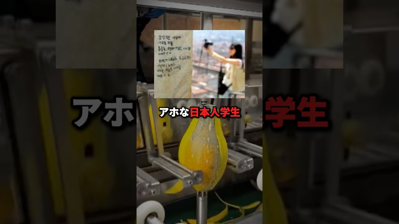 イタリア大聖堂に落書きした日本人学生の末路 #衝撃の事実 #ミステリー