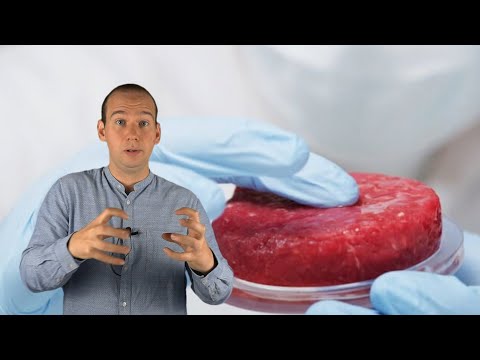 , title : 'Carne Coltivata in Laboratorio: come Funziona? Sarà il Futuro?'