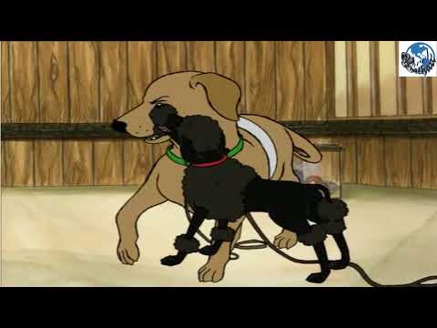 Hairy Maclary - Rumpus at the Vet