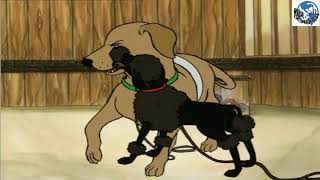Download lagu Hairy Maclary - Rumpus at the Vet mp3 Download lagu Hairy Maclary - Rumpus at the Vet mp3