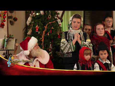 Elena Negru si Grupul Bilcuta