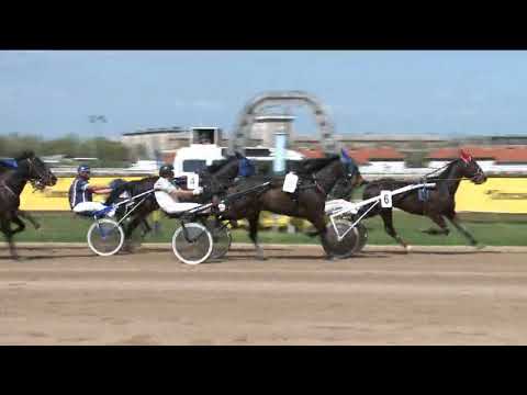 2018.04.14. 2 futam Ügető