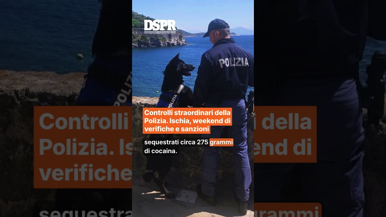 Controlli straordinari della Polizia. Ischia, weekend di verifiche e sanzioni
