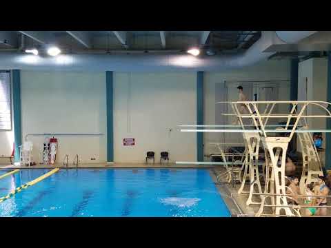 2017 UNCW Men's 3m - Dive 7 303B