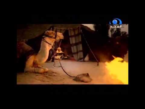 Kujdesi ndaj Kur'anit