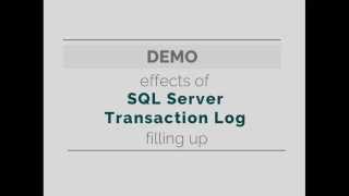Effects of a Full SQL Server Transaction Log