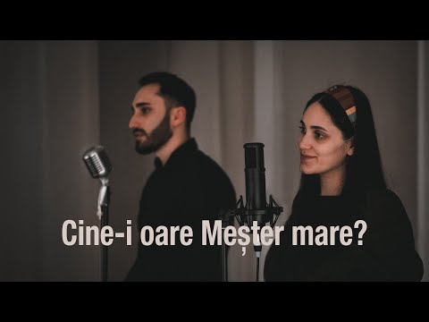 Dina Oleniuc - Cine-i oare Meșter mare? (cover)