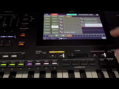 2 Bass Guitars - Korg Pa5X