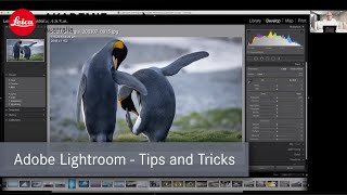 Adobe Lightroom Classic - Tips and Tricks for a better workflow.