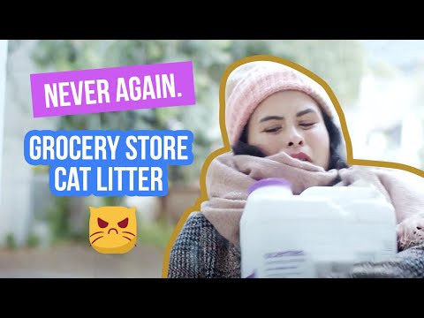 Never Leave The House For Cat Litter Again!