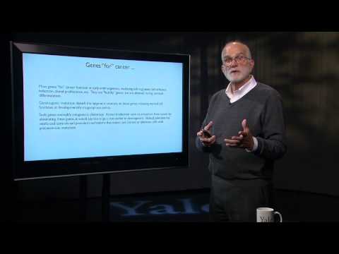 7.2 Cancer as an Evolutionary Process: Why we are Susceptible