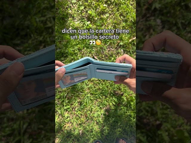 Vídeo relacionado con South Towelie Park No Olvides Traer Una Toalla Billetera/Cartera Bi-Fold ID & Tarjetero, Azul