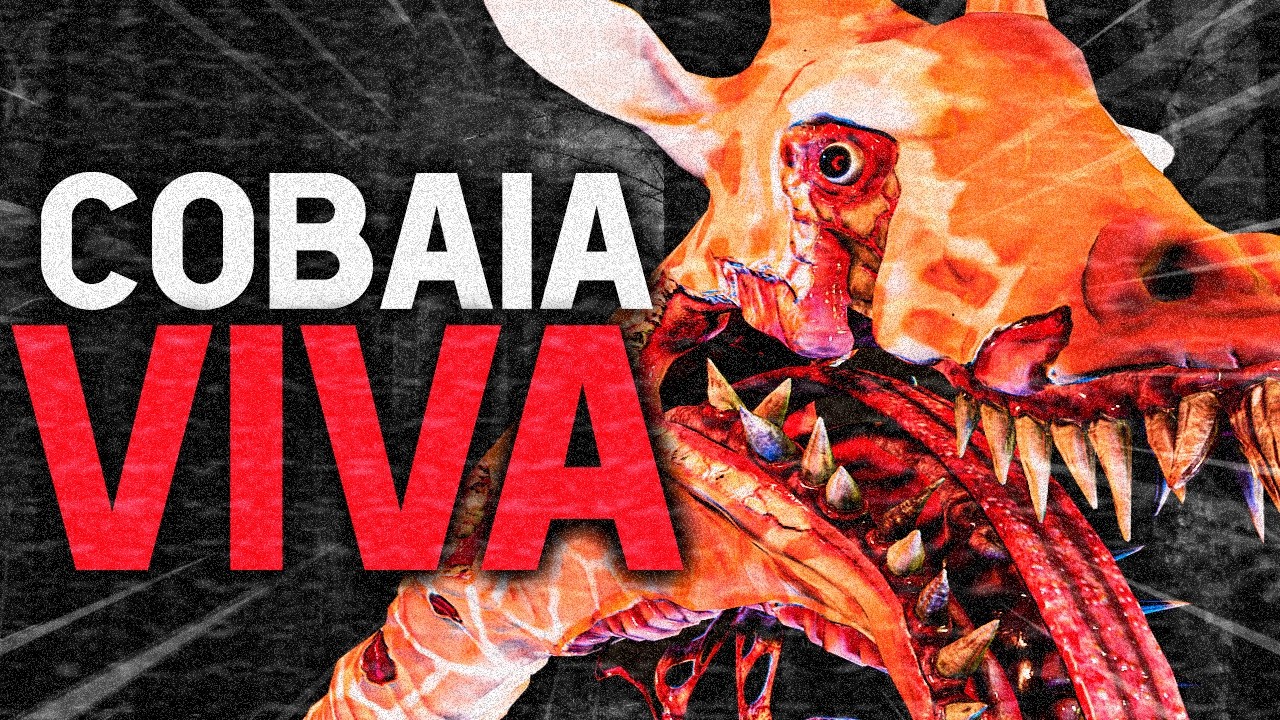 O POLEMICO ZOOCHOSIS É UMA PORCARIA?... Talvez.