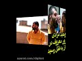 ‫Video for فیلم درگیری وحید مرادی در زندان رجایی شهر‬‎