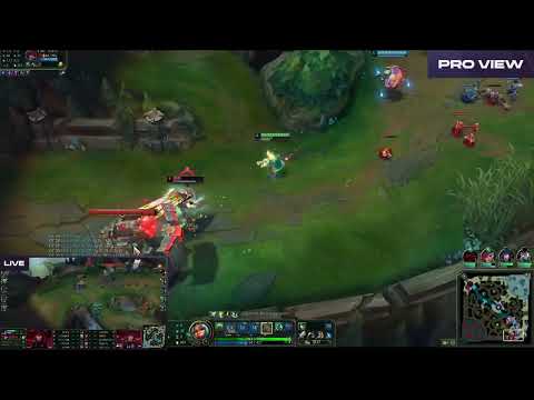 HLE Viper Zeri Pro View | T1 vs GENG | LCK Spring Playoffs 2023