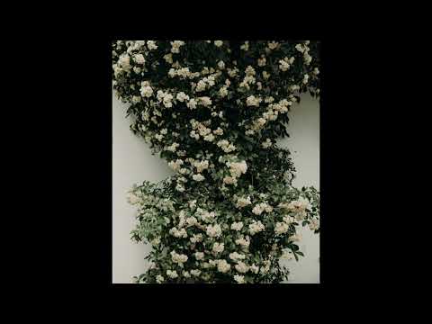 [FREE] guardin, fats'e, midwest emo type beat | "jest"