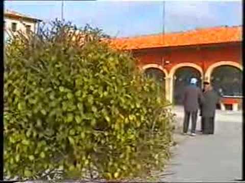 Marano Lagunare (a cura di Ottavio Buonomo)