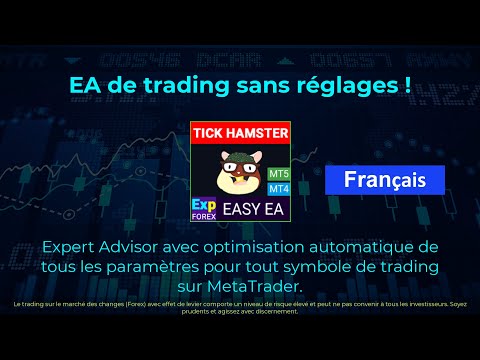 Video Exp Tick Hamster MT5