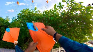 Caught Damage Kites Day 3 Kite Looted