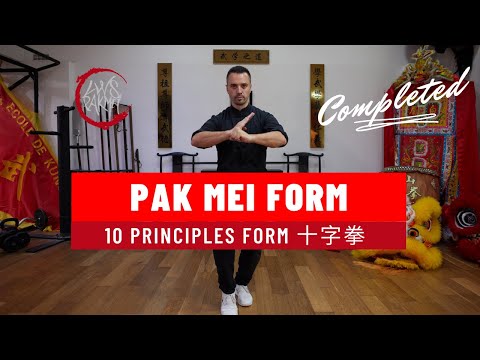 Pak Mei Kung Fu| 10 principles Form | 十字拳