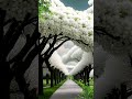 Beautiful Place On Earth Not Real Status Nature Love Whatsappstatus Whatsapp