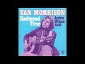 Van Morrison - Redwood Tree