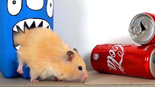 My Funny Pet Hamster takes on the COCA COLA Obstac