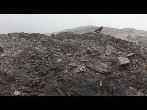 Biwakschachtel Watzmann Ostwand