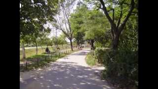 THE DYKEENIES - Stitches