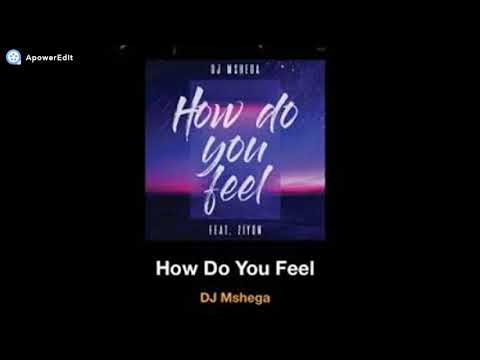 Dj Mshega ft Zion   How do you feel