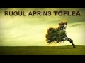 Rugul aprins Toflea Cine a biruit moartea Aleluia ...
